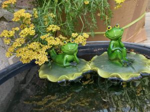 zwei froschfiguren im wasssereimer